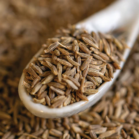 Cumin Seeds (Jeera)