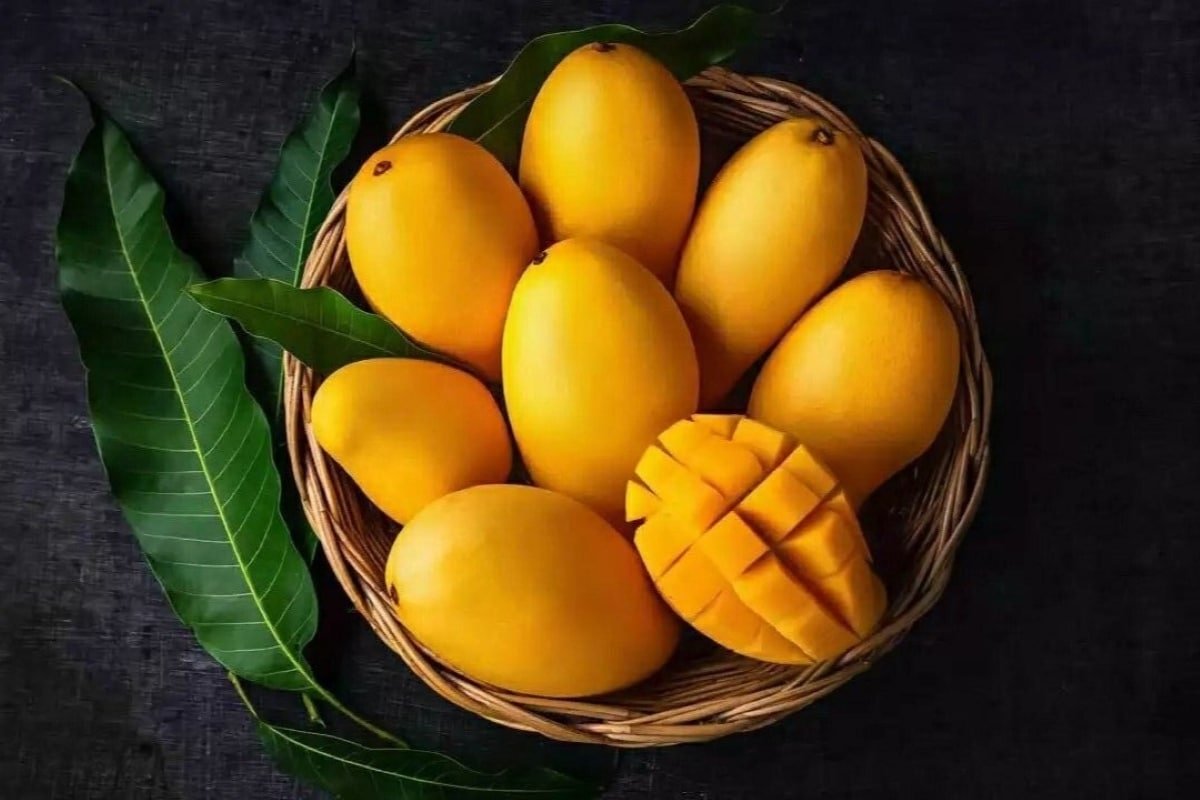 Mango-rotated-1