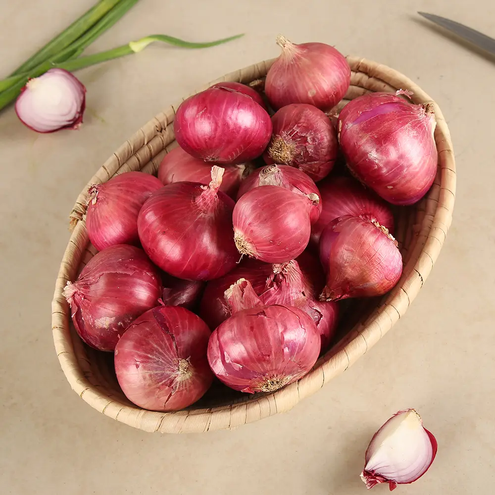 Onion