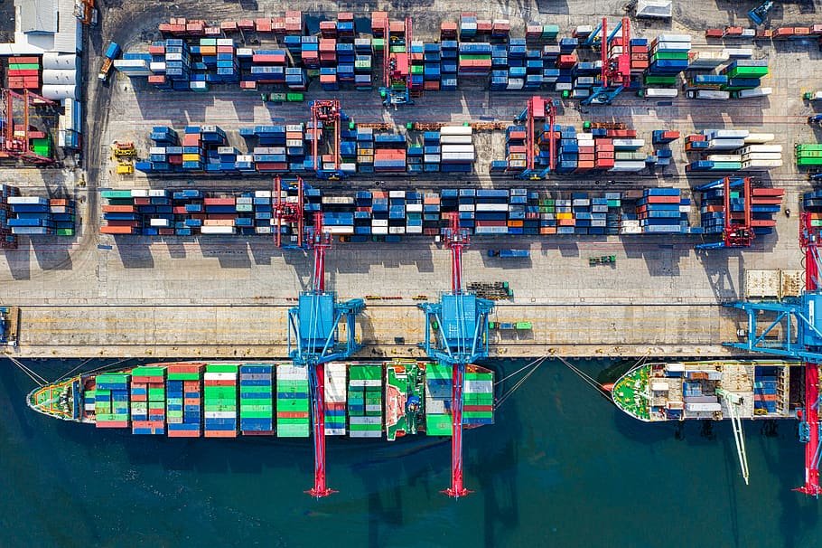 How to Choose the Right Agricultural Exporter: A Complete Guide for Global Buyers